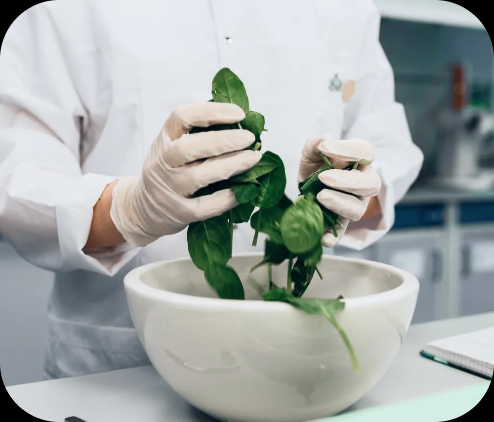 Изображение новости День открытых дверей программы «Пищевые технологии / FoodTech».